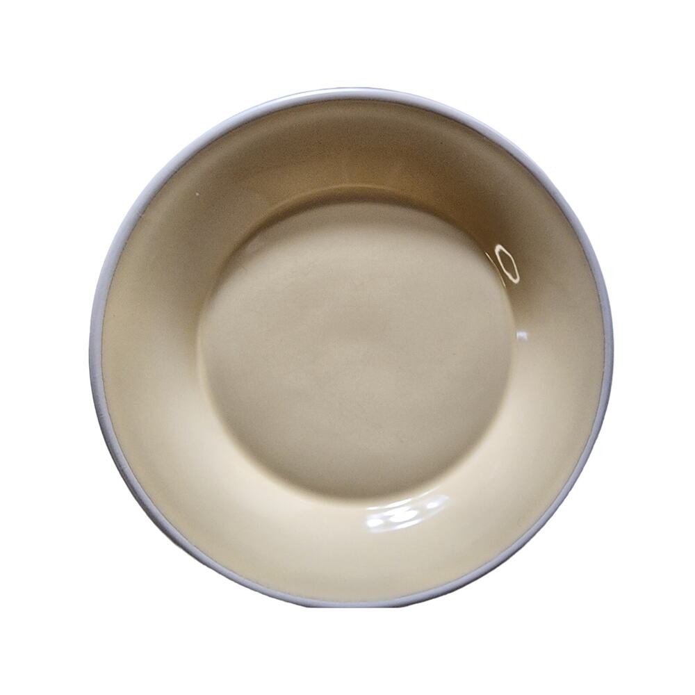 SONOMA Life + Style Mendocino Butter 11 3/4" Dinner Plate Heavy - set of 2